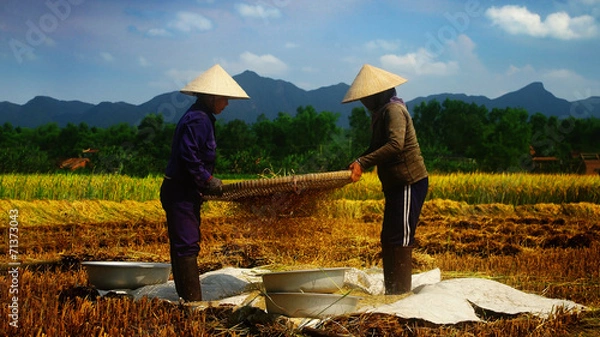 Obraz vietnamese farmer