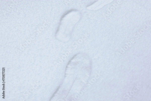 Fototapeta 雪の上に残された足跡