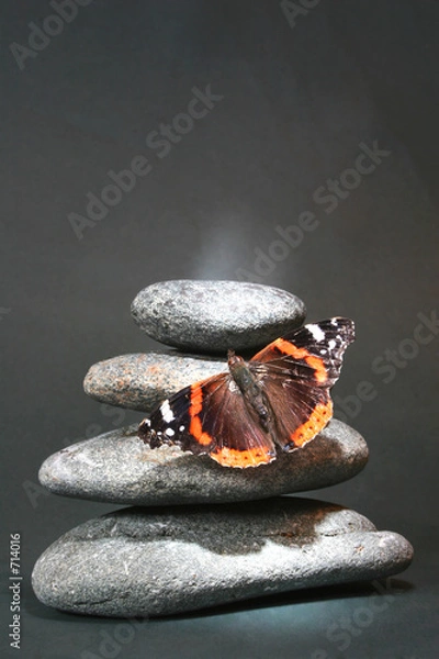 Obraz piedras y mariposa