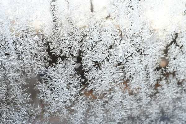 Obraz close up of ice flowers on glass