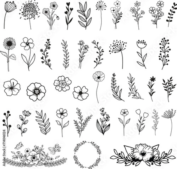 Obraz Wildflowers hand drawn, Flowers vector, Floral element illustration.