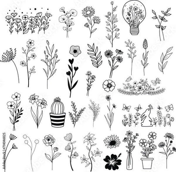 Obraz Wildflowers hand drawn, Flowers vector, Floral element illustration.