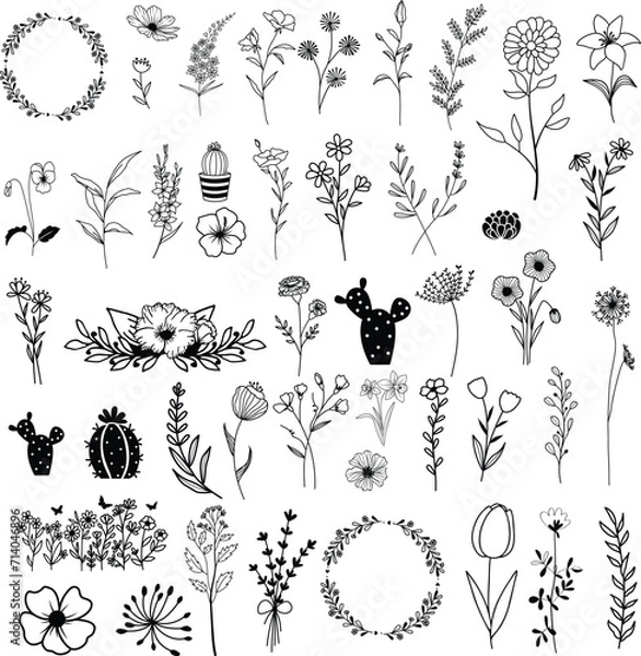 Obraz Wildflowers hand drawn, Flowers vector, Floral element illustration.