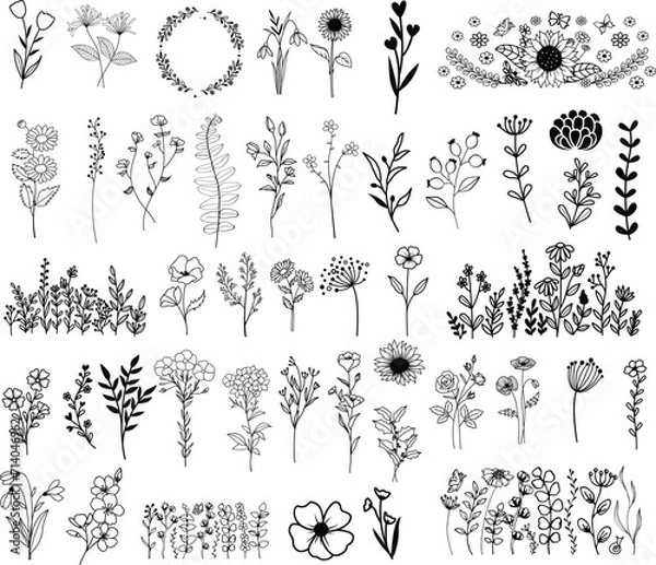Obraz Wildflowers hand drawn, Flowers vector, Floral element illustration.