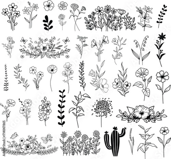 Obraz Wildflowers hand drawn, Flowers vector, Floral element illustration.