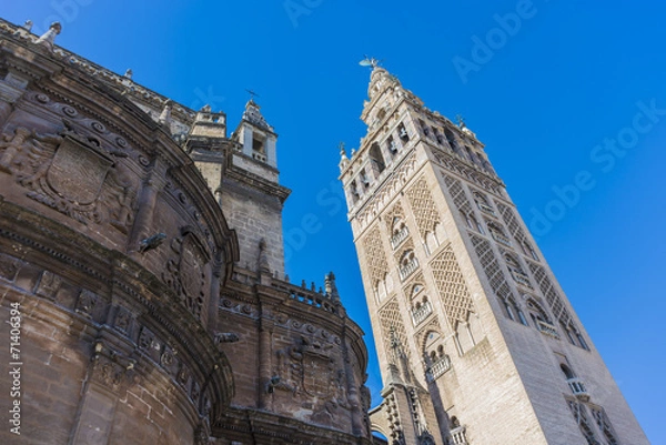 Fototapeta The Giralda in Seville, Andalusia, Spain.