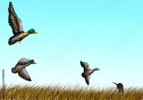 Obraz duck hunting