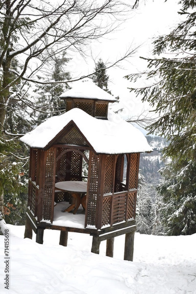 Obraz wooden house in the forest