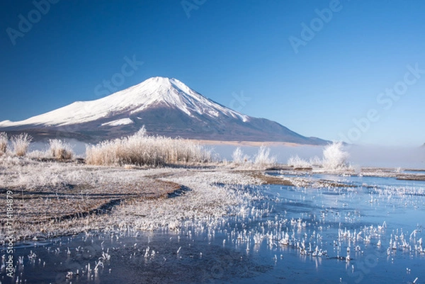 Obraz 山中湖から富士山と霧氷