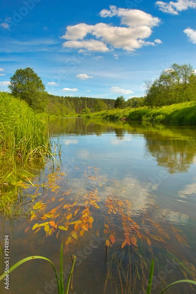 Obraz Landscape with river