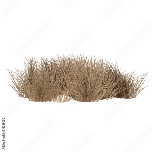 Fototapeta 3D Render sucha ścieżka trawy izolowana
