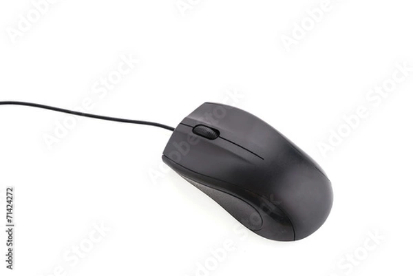 Fototapeta Mouse isolated on white background