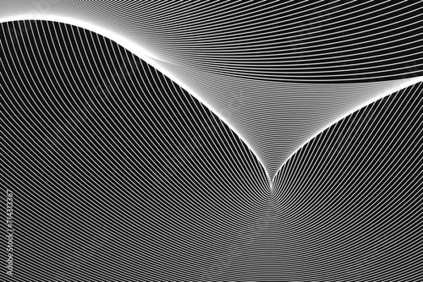 Fototapeta Lines that makes a dynamic geometric optical pattern