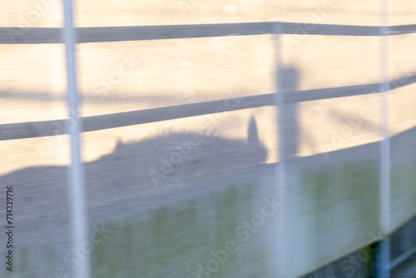 Fototapeta Schatten eines Pferdes in der Führmaschine mit Begrenzungsstangen