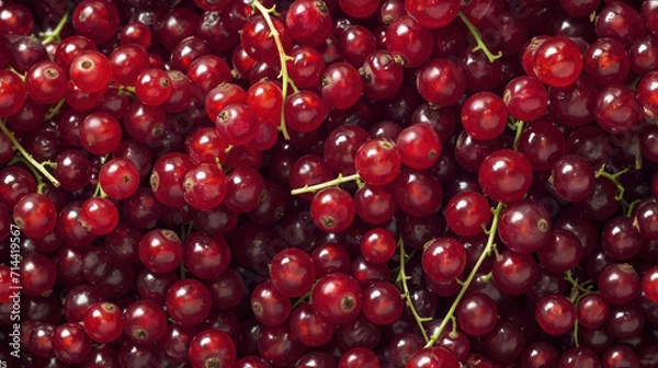 Fototapeta  a close up of a bunch of cherries with green stems and red berries on the top of the bunch and the bottom of the cherries on the top of the bunch.