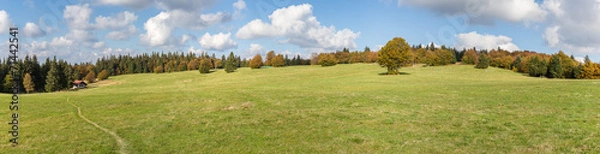 Obraz panorama d'une prairie d'altitude des Vosges