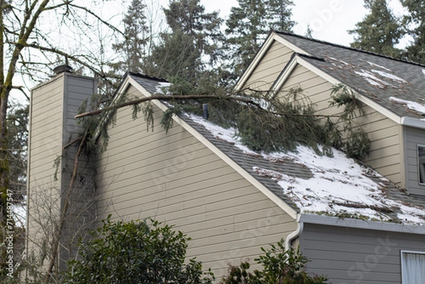 Obraz Fallen tree branches on the roof of a residential building after severe winter snow storm.