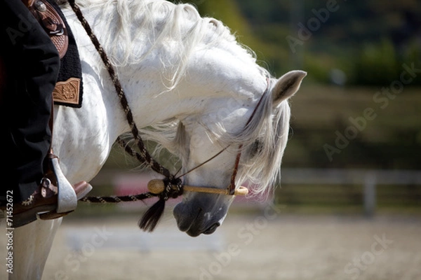 Fototapeta Westernreiten