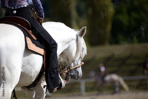Fototapeta Westernreiten