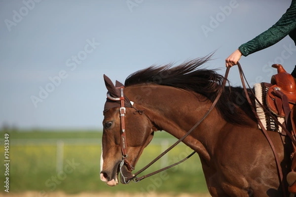 Fototapeta Westernreiten