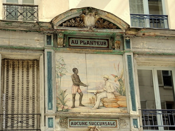 Fototapeta Do sadzarki