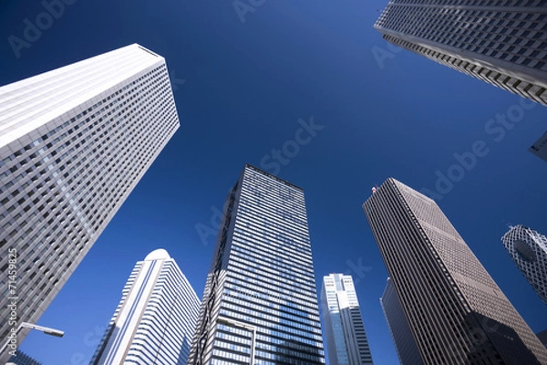 Fototapeta 新宿の高層ビル街