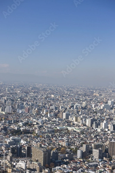 Fototapeta 新宿　都庁舎からの展望