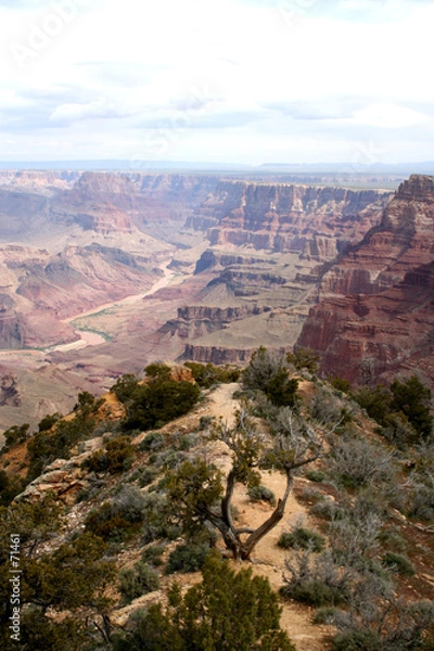 Obraz grand canyon