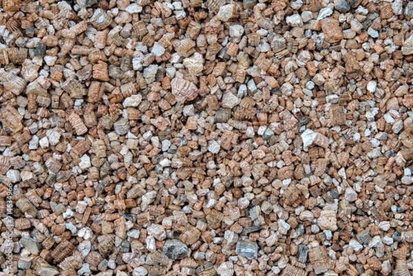 Fototapeta Top view, close-up of Vermiculite, potting cactus, succulent, hydroponics and plant material.