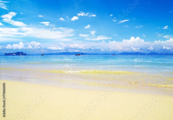 Obraz beach and tropical sea