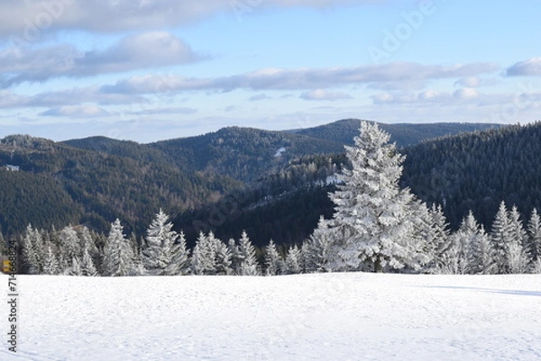 Obraz snow covered mountains