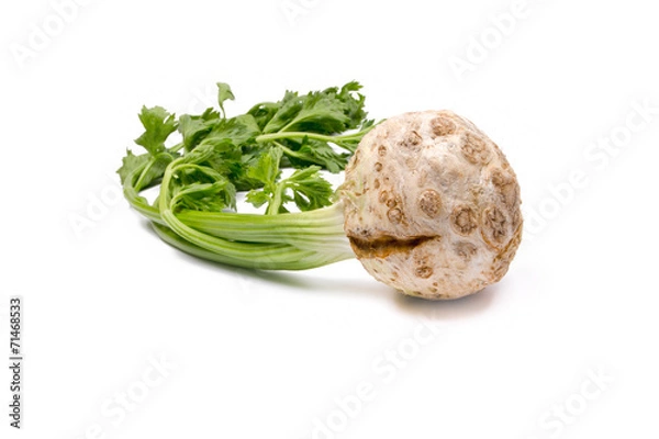 Obraz celery with leaves