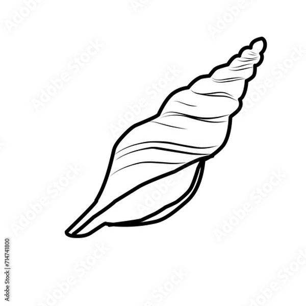 Fototapeta Hand Drawn Sea Shell 