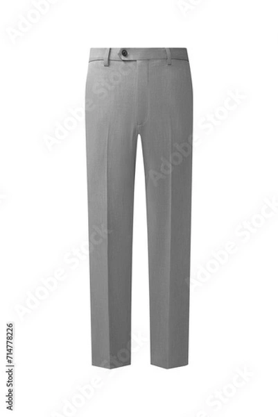 Obraz light grey pants