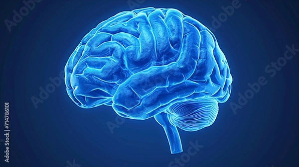 Obraz human brain ray