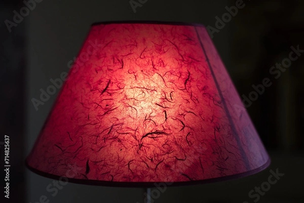 Obraz pink-lilac floor lamp, beautiful, in the living room, in front of a painting

