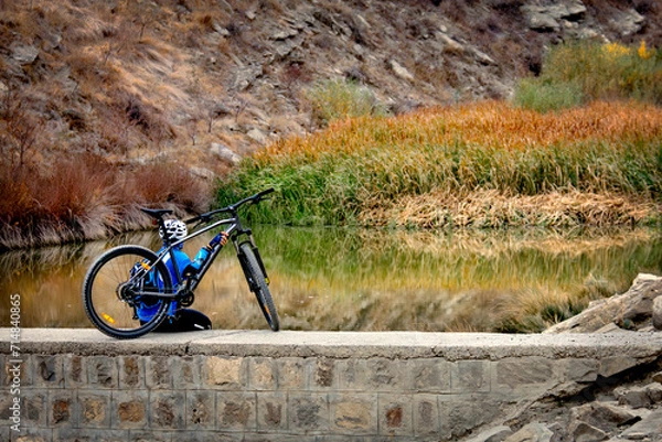 Obraz old bicycle in the park
