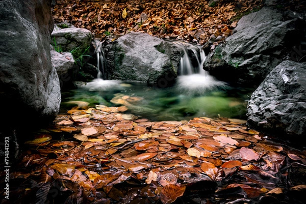 Obraz waterfall in autumn