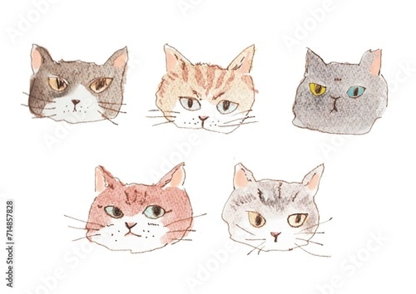 Obraz ドローイング、猫、イラスト、デザイン、クリップアート、