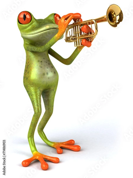 Obraz Fun frog