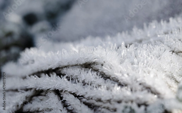 Fototapeta frost on a tope