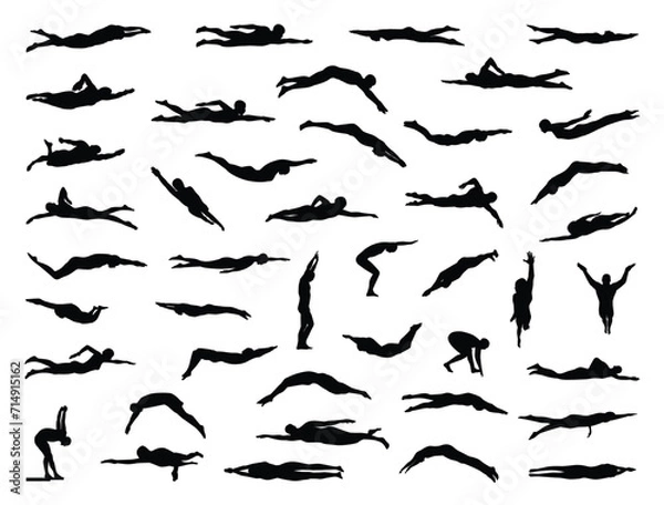 Obraz Swimming silhouette vector art white background