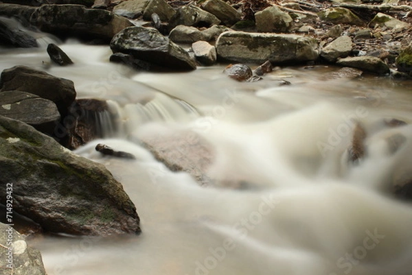 Obraz waterfall in the forest 1