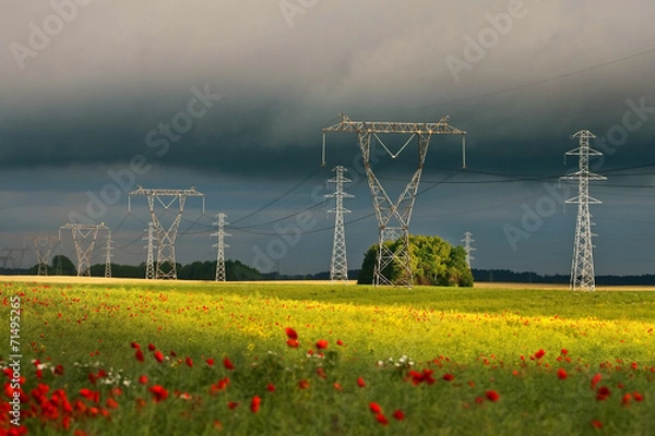 Fototapeta Power lines at sunset