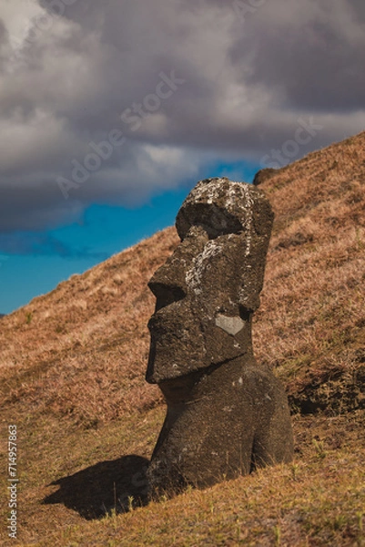 Fototapeta Moai statues are monolithic human figures carved by the Rapa Nui people on Rapa Nui (Easter Island) in eastern Polynesia, Chile 