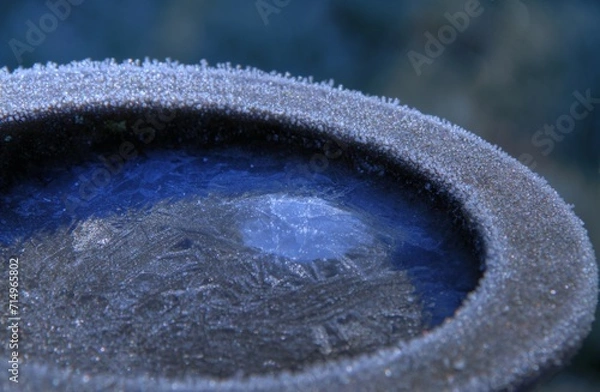 Fototapeta Mangeoire gelé