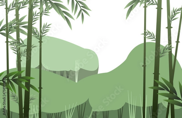 Fototapeta Bamboo forest. Tropical reed beds. Jungle and rainforest of southern latitudes. Cartoon fun style. Flat design. Isolated on white background. Vector