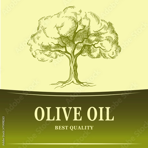 Obraz Olive oil. Vector  olive tree. For labels, pack.