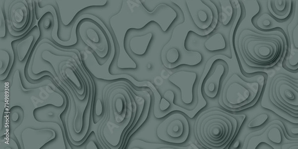 Fototapeta The stylized gradient color abstract topographic map with lines and circles background. Per texture design and geometric shape with vector design multicolored gray topography.