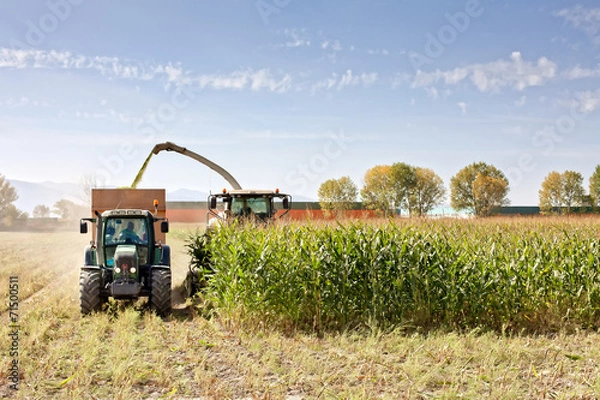 Obraz bardziej ucierać